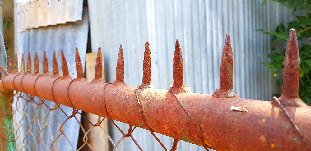 Old Fence